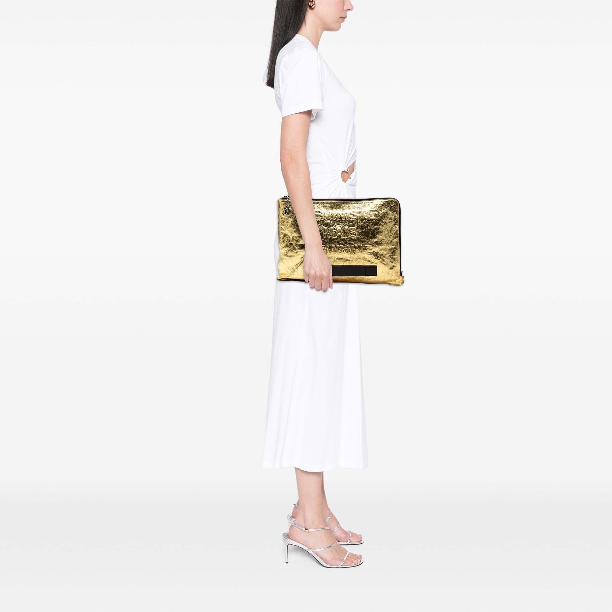 Chanel Metallic Crinkled Calfskin Feministe Mais Feminine Pouch
