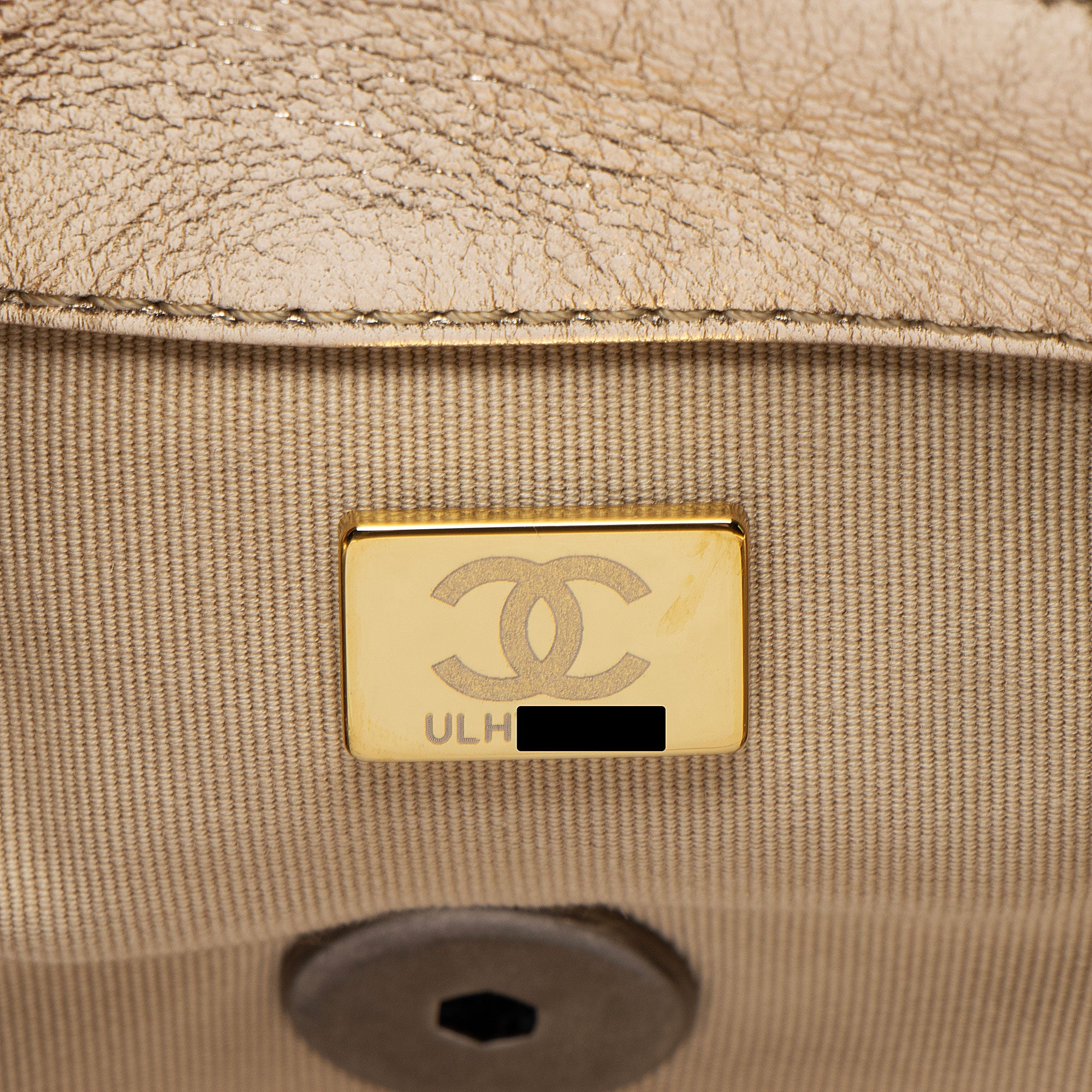Chanel Metallic Lambskin 19 Medium Flap Shoulder Bag