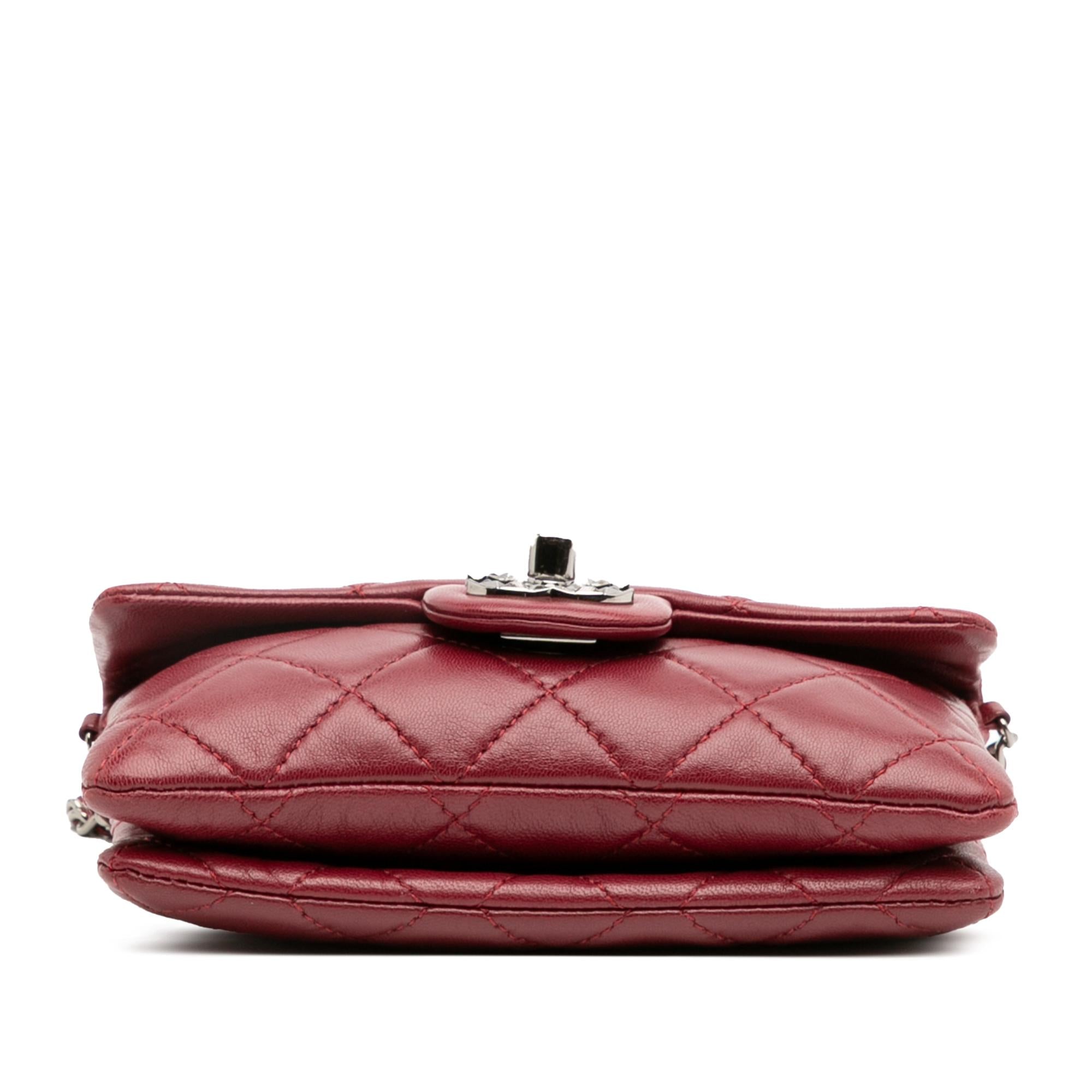 Chanel Mini Lambskin Mineral Nights Flap