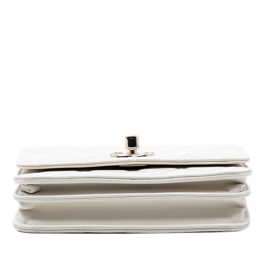 Chanel Mini Quilted Lambskin Trendy CC Wallet On Chain