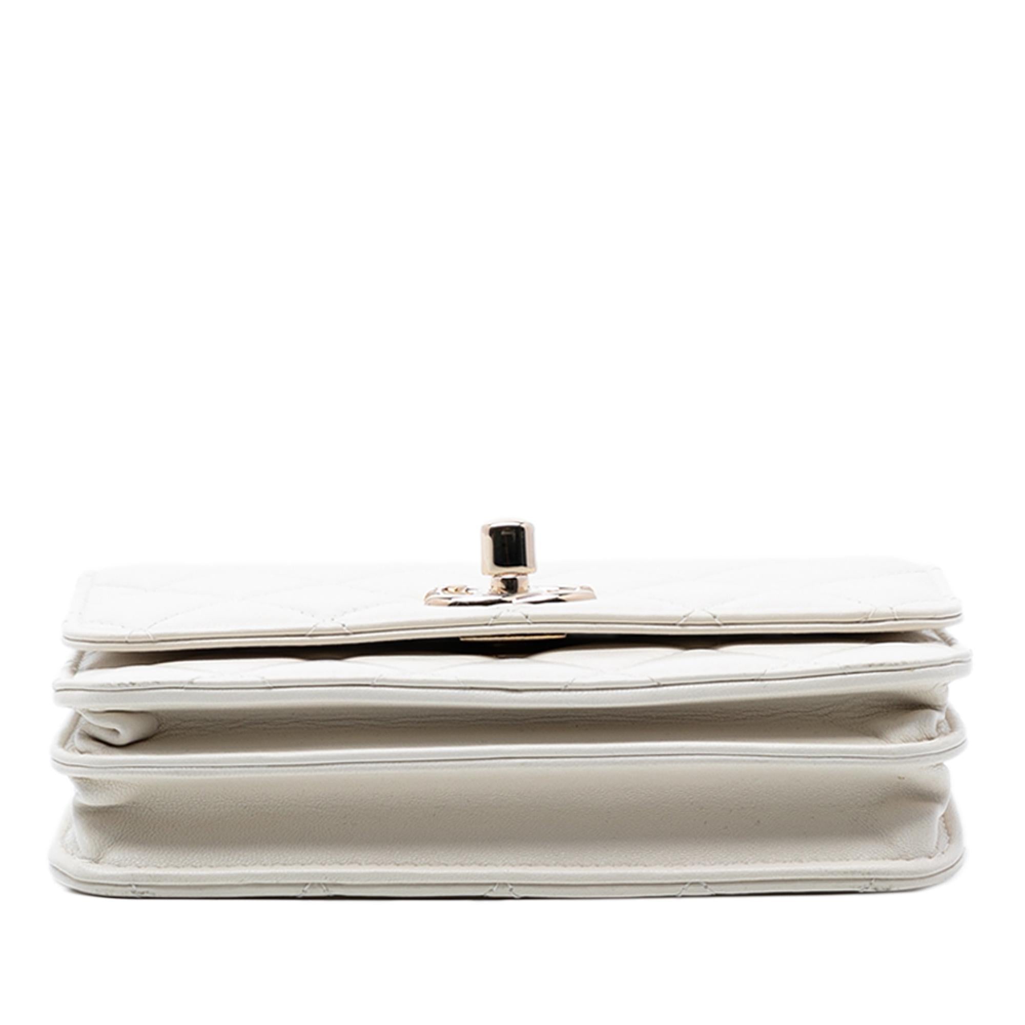 Chanel Mini Quilted Lambskin Trendy CC Wallet On Chain