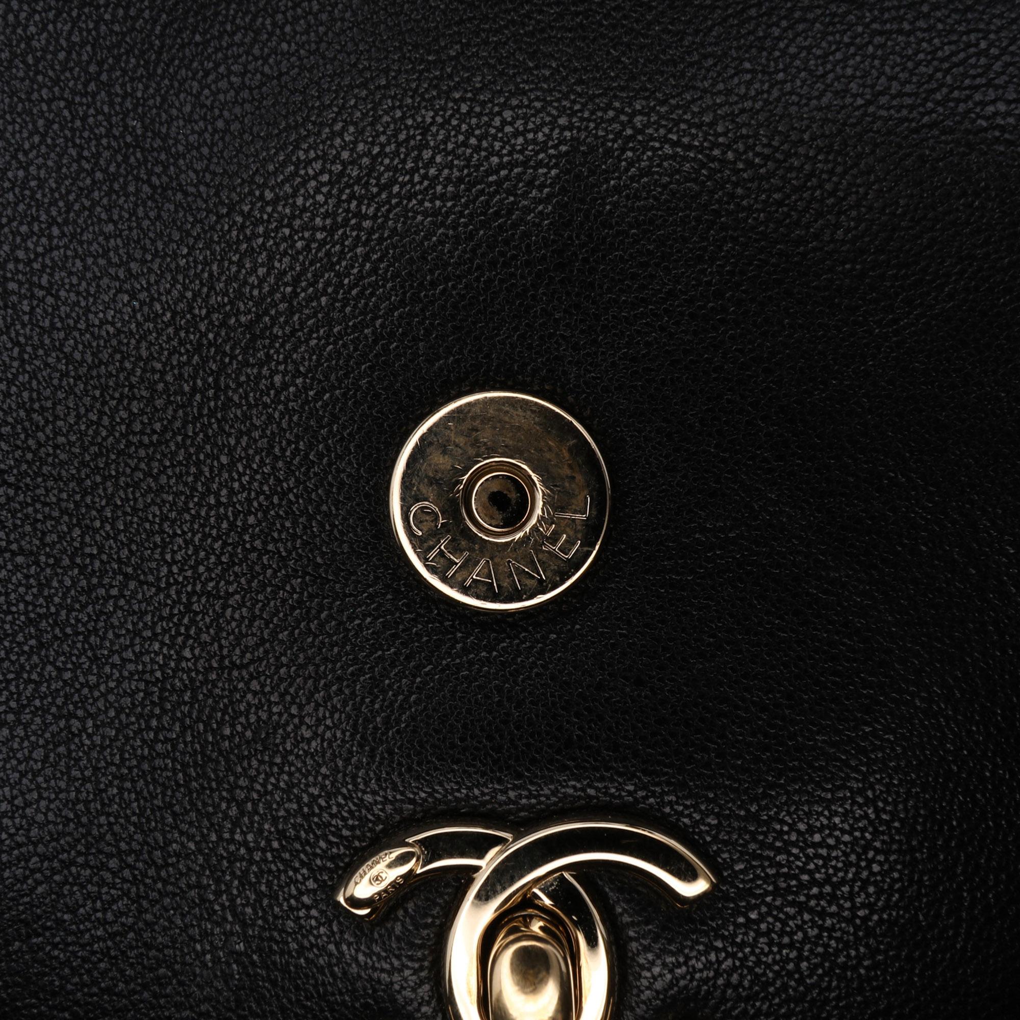 Chanel Mini Quilted Sheepskin Double Chevron Flap