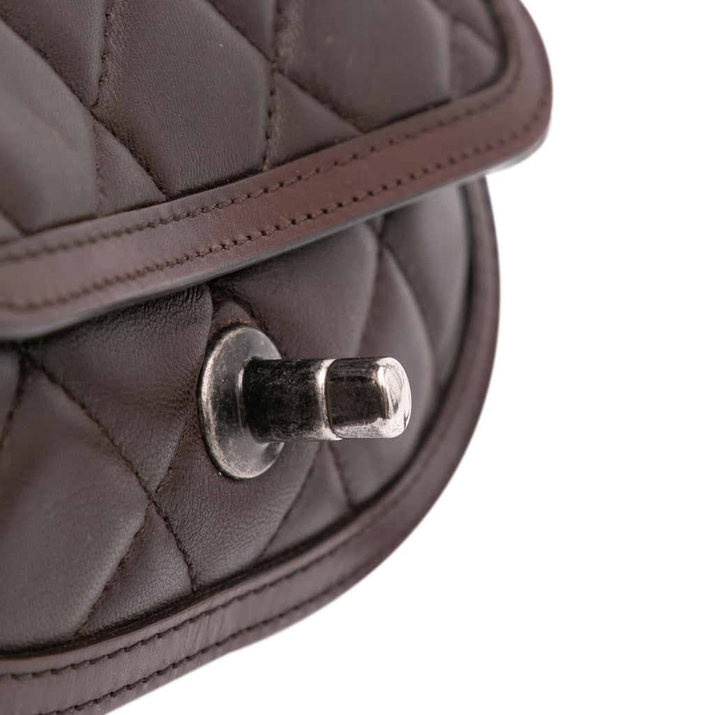 Chanel Paris-Salzburg Quilted Lambskin and Pony Hair Saddle Crossbody