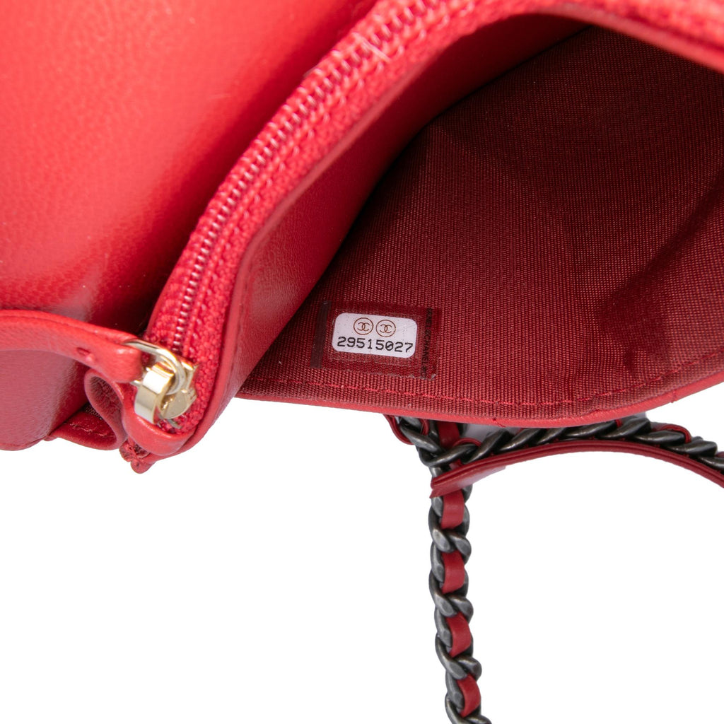 Chanel Quilted Goatskin 19 Wallet on Chain