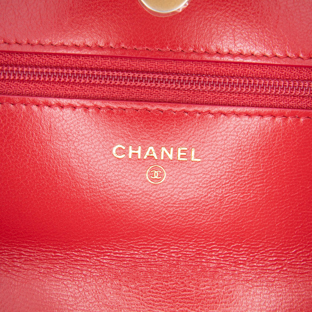 Chanel Quilted Goatskin 19 Wallet on Chain