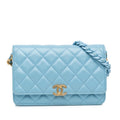 Chanel Quilted Lambskin Candy Chain Wallet on Chain