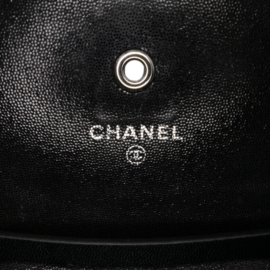 Chanel Sequined Goatskin CC Crystal Wallet On Chain