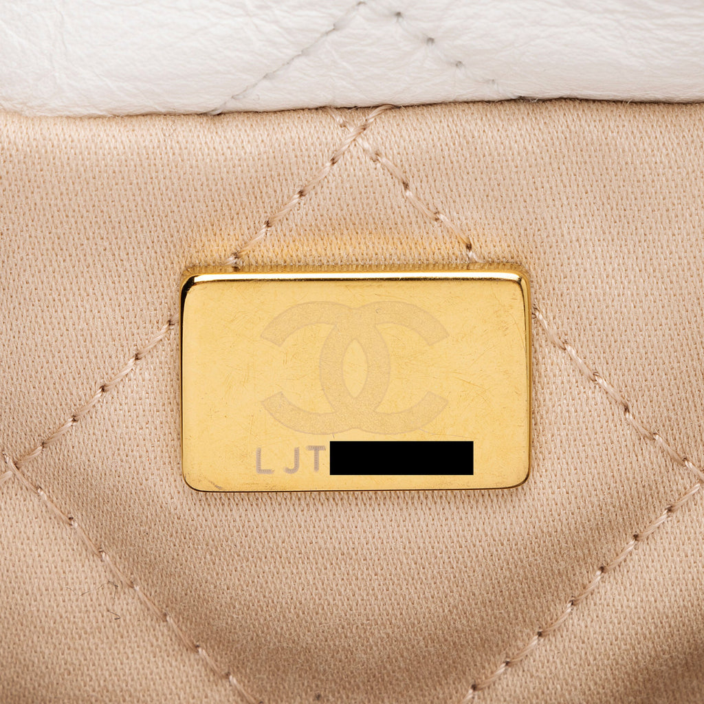 Chanel Shiny Calfskin Chanel 22 Medium Shoulder Bag