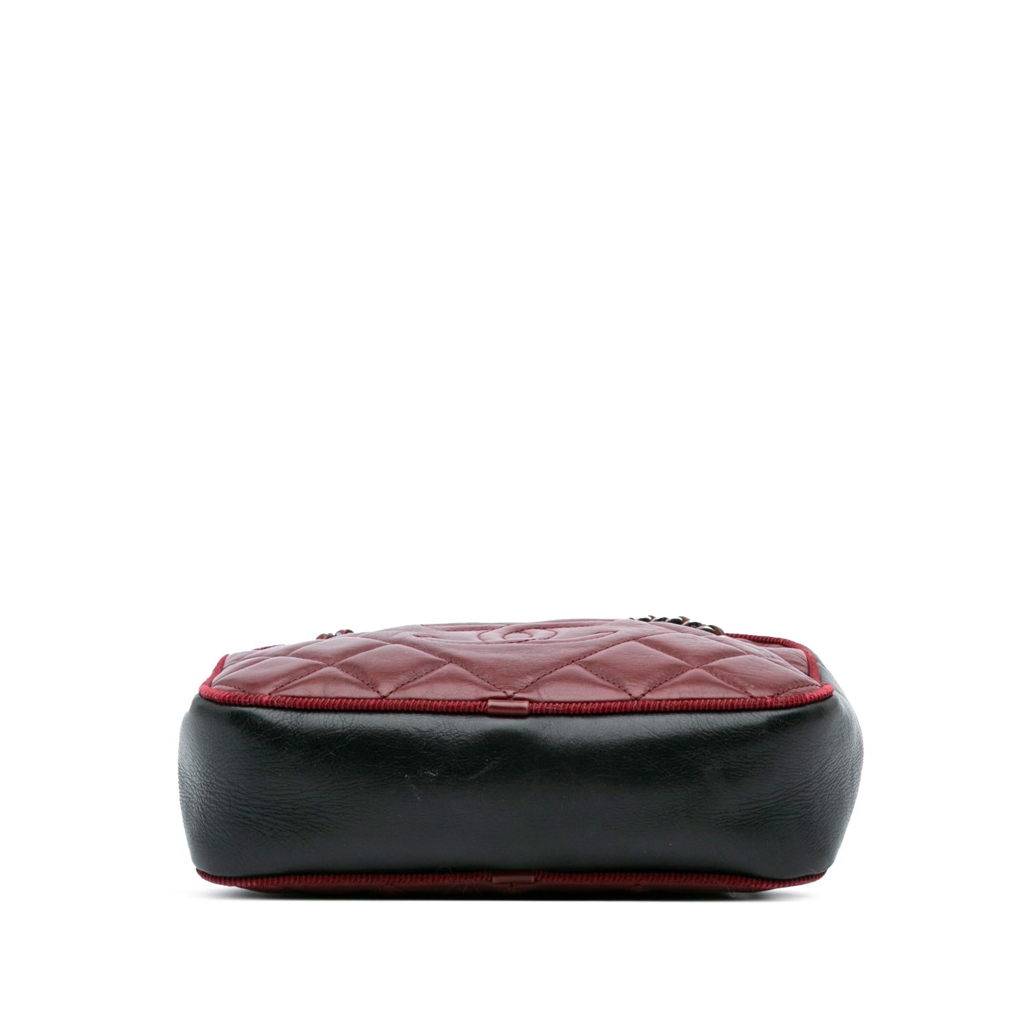 Chanel Small Bicolor Quilted Calfskin Ballerine Camera Bag