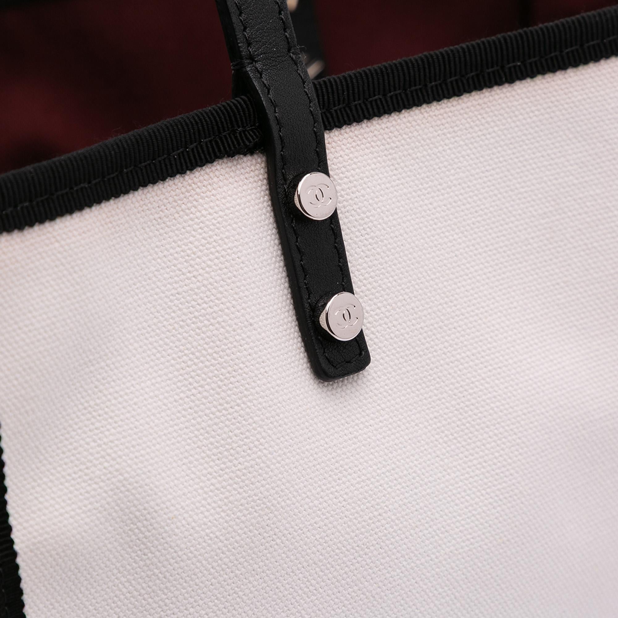 Chanel Small Canvas Lets Demonstrate Tote