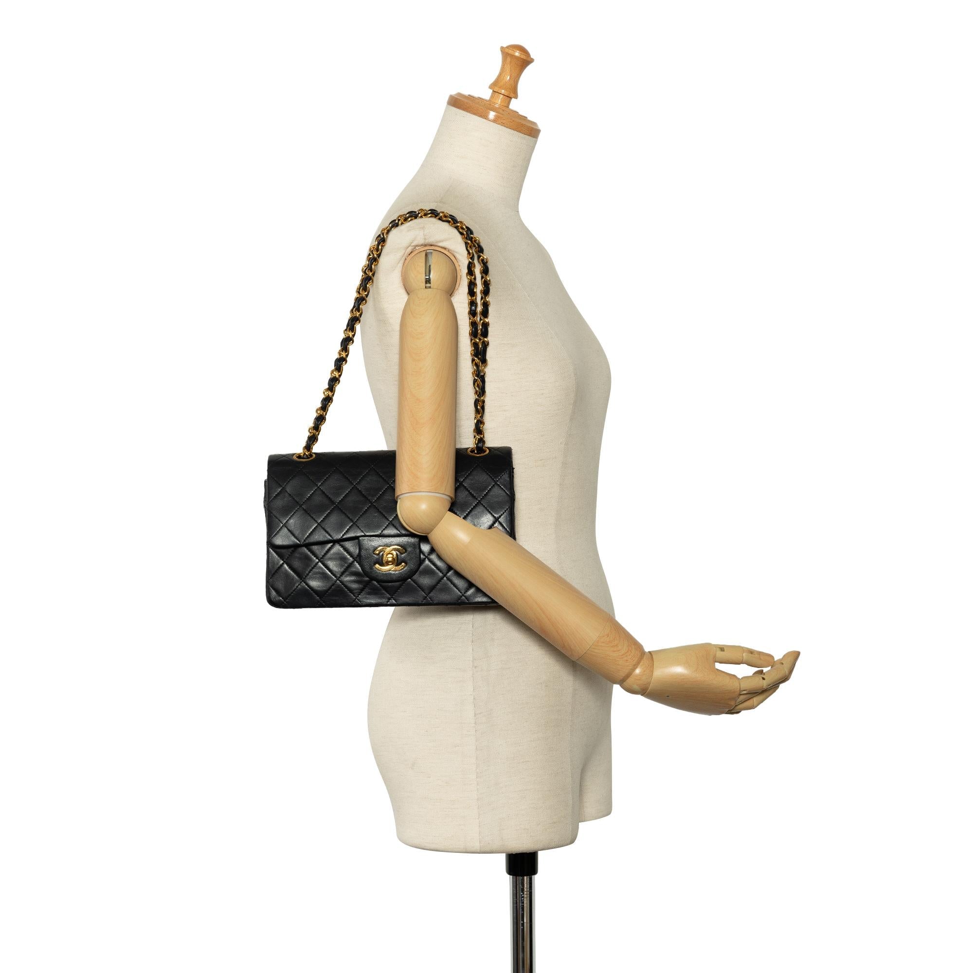 Chanel Small Classic Lambskin Double Flap (SHG-RTXYTz)