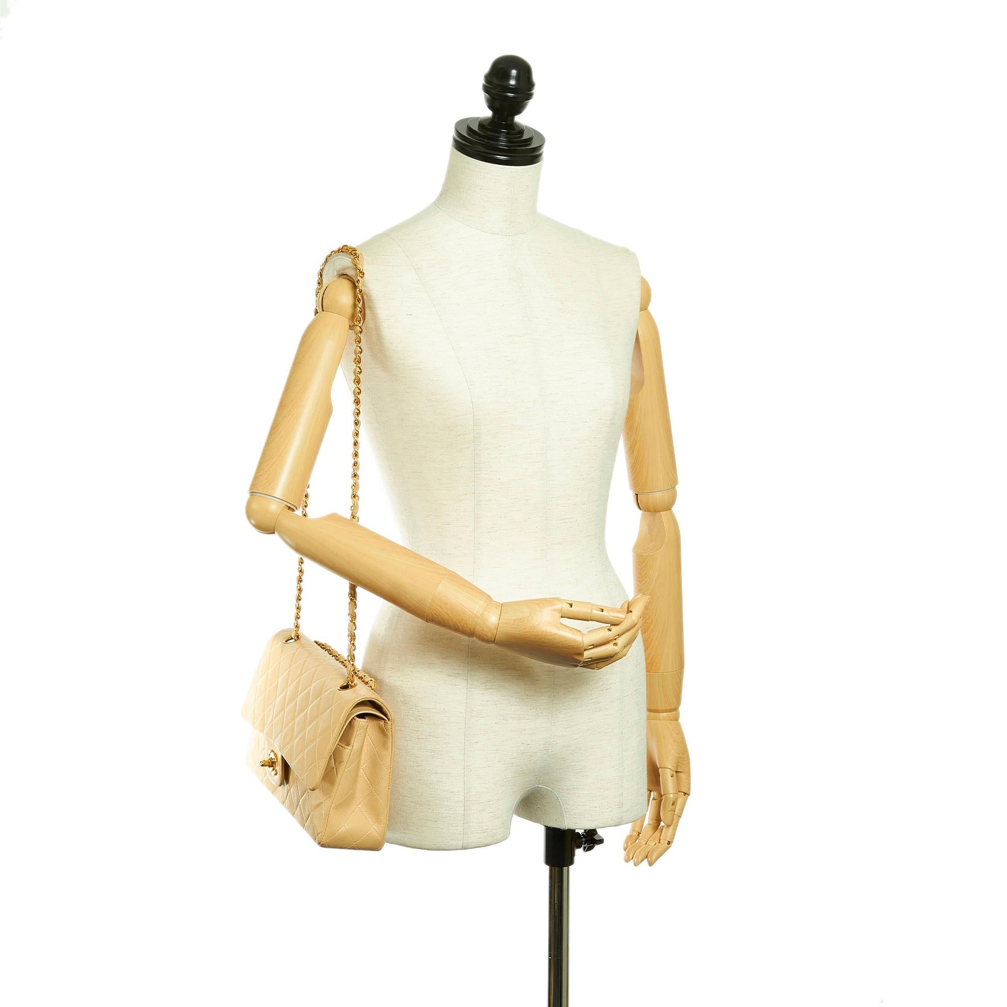 Chanel Small Classic Lambskin Leather Double Flap Bag (SHG-31452)
