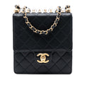 Chanel Small Goatskin Chic Pearls Flap