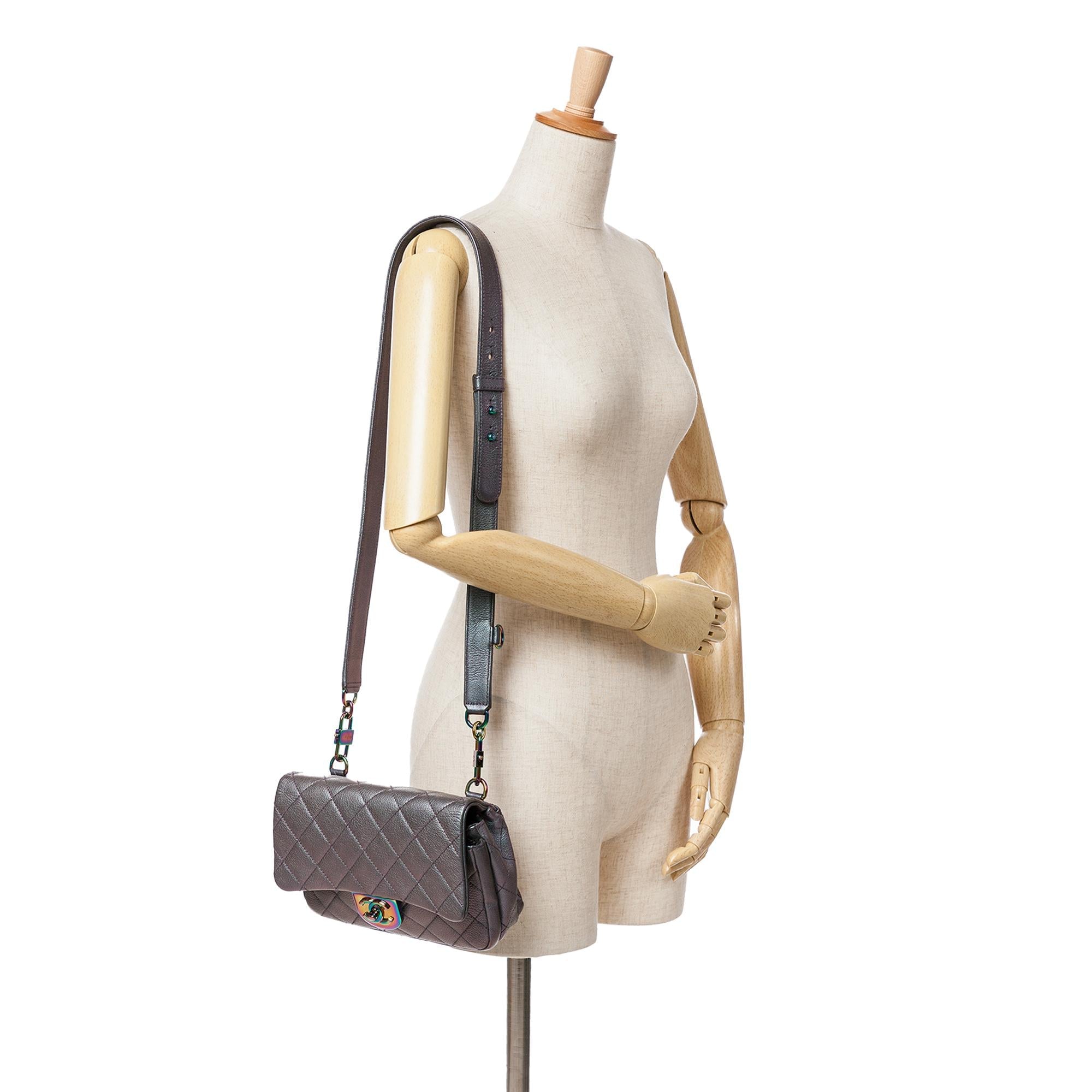 Chanel Small Iridescent Goatskin Rainbow Hardware Double Carry Waist Chain Flap