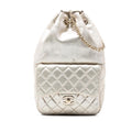 Chanel Small Metallic Lambskin In Seoul Backpack