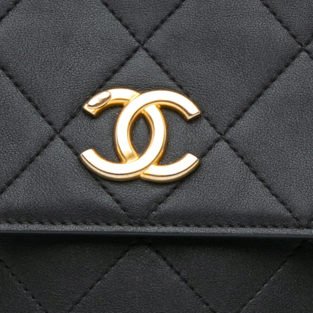 Chanel Small Quilted Calfskin Chain Hobo Flap