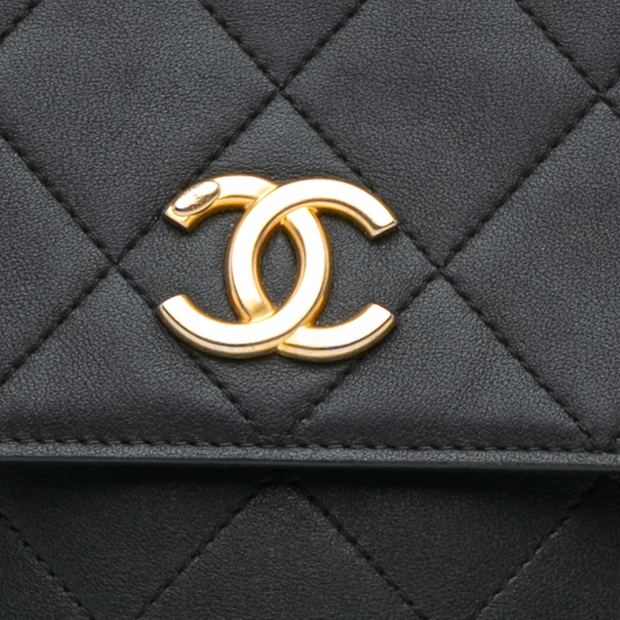 Chanel Small Quilted Calfskin Chain Hobo Flap
