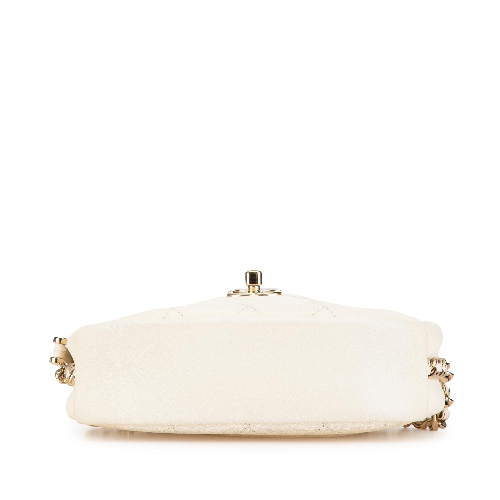 Chanel Small Quilted Goatskin Casual Trip Camera Bag
