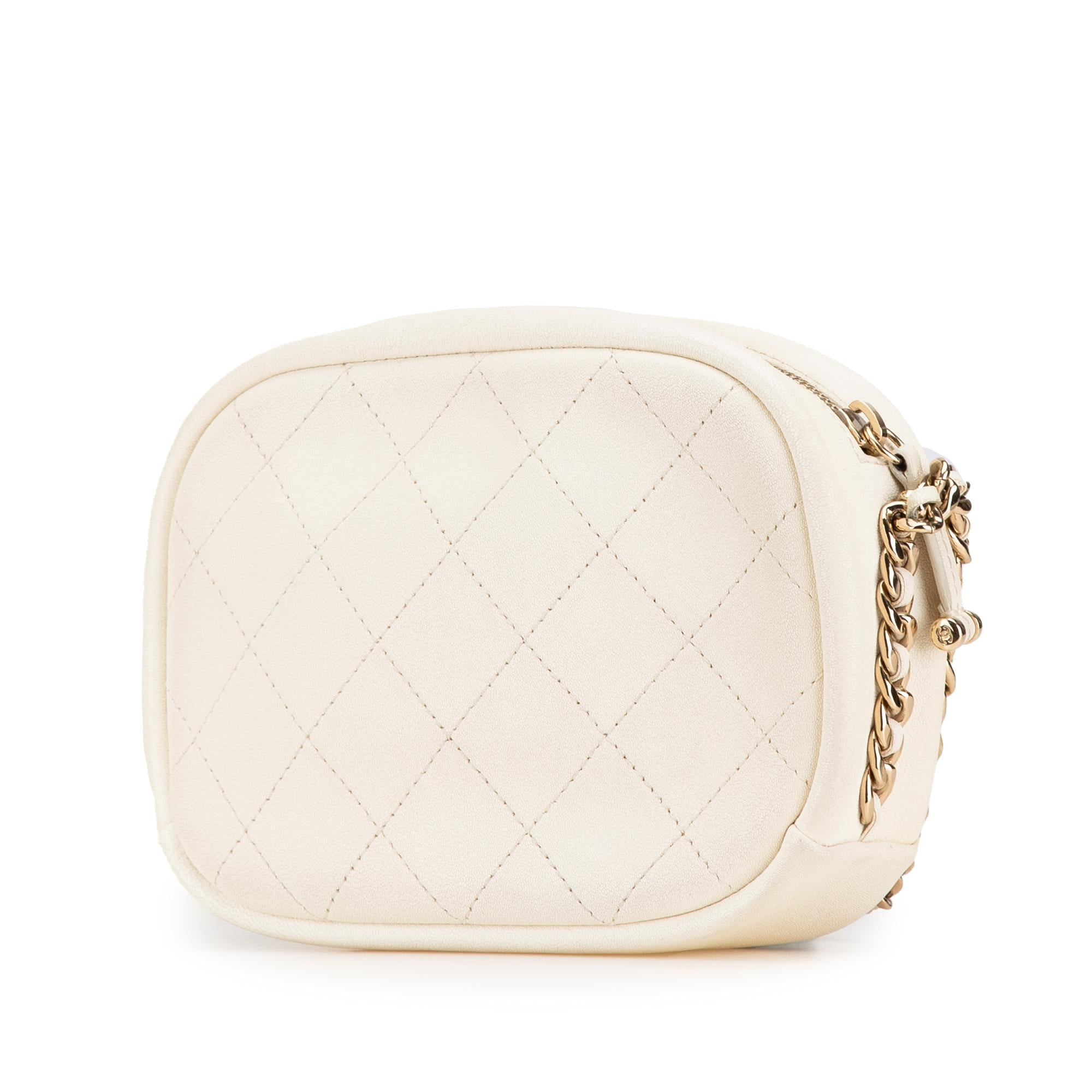 Chanel Small Quilted Goatskin Casual Trip Camera Bag