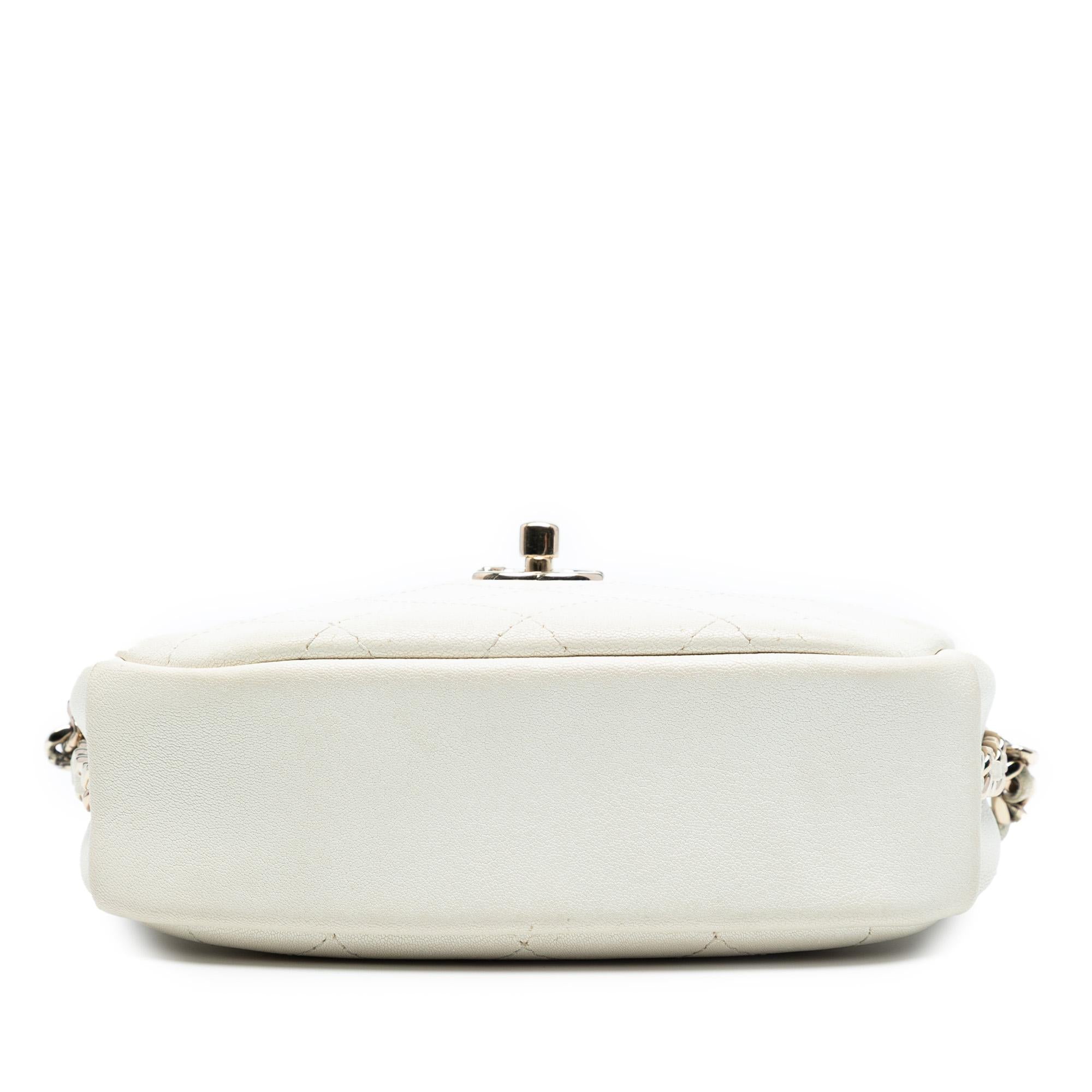 Chanel Small Quilted Goatskin Casual Trip Camera Bag
