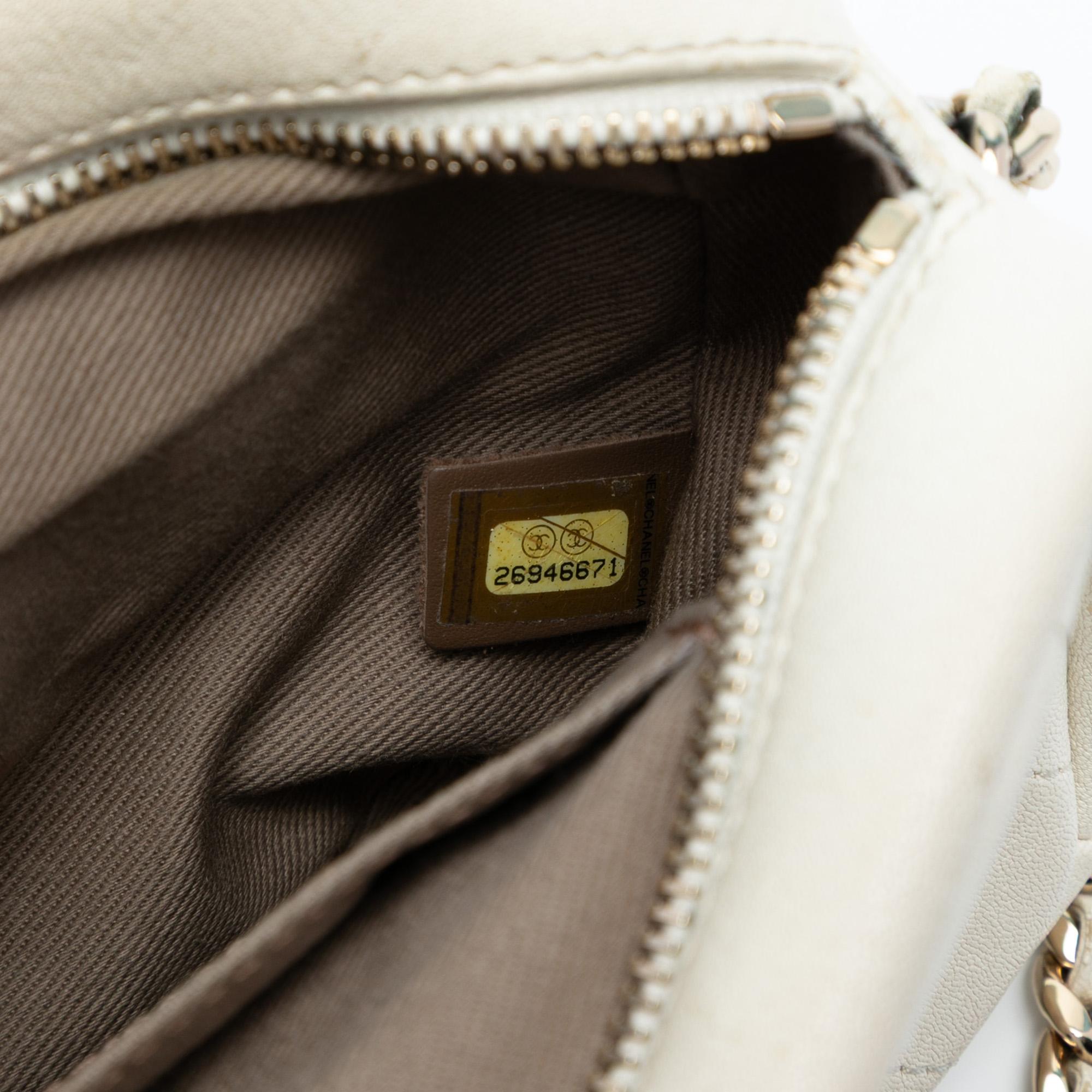 Chanel Small Quilted Goatskin Casual Trip Camera Bag