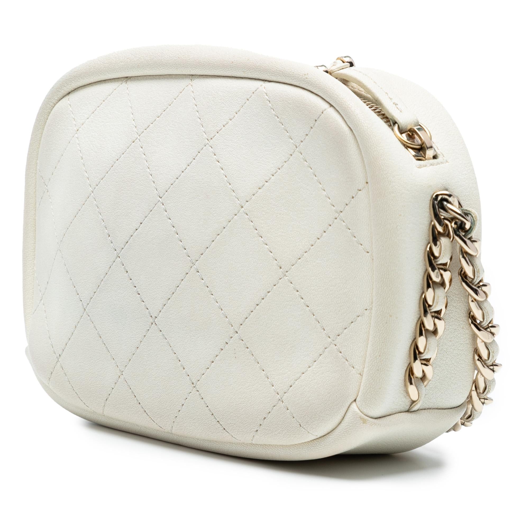 Chanel Small Quilted Goatskin Casual Trip Camera Bag