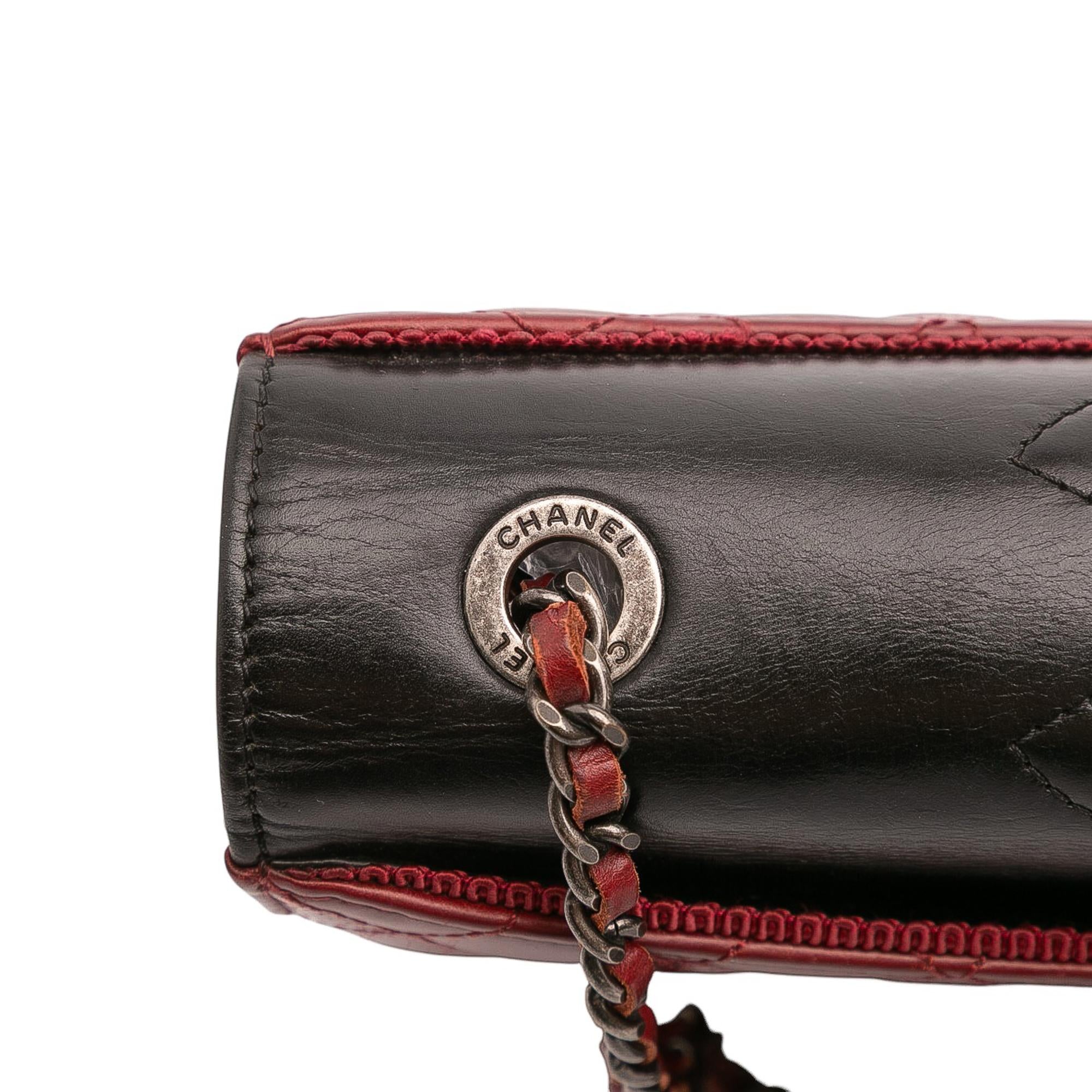Chanel Small Quilted Lambskin Ballerine Flap Bag