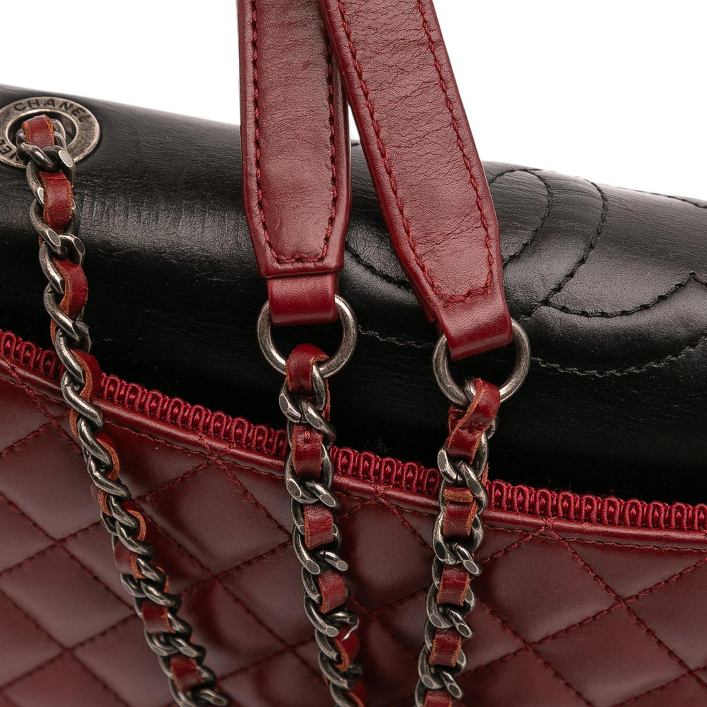 Chanel Small Quilted Lambskin Ballerine Flap Bag