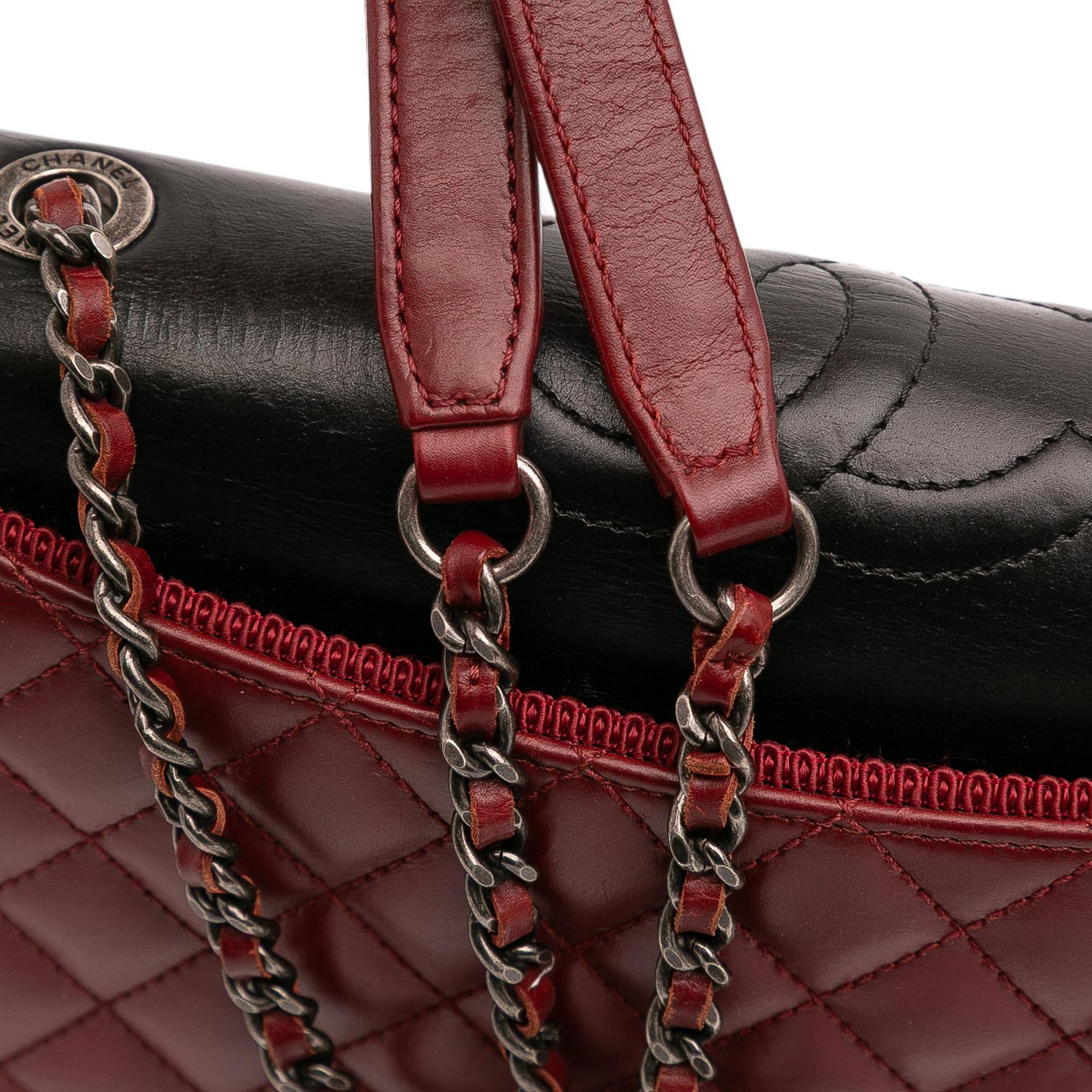Chanel Small Quilted Lambskin Ballerine Flap Bag