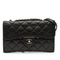Chanel Small Quilted Lambskin Citizen Zip Flap