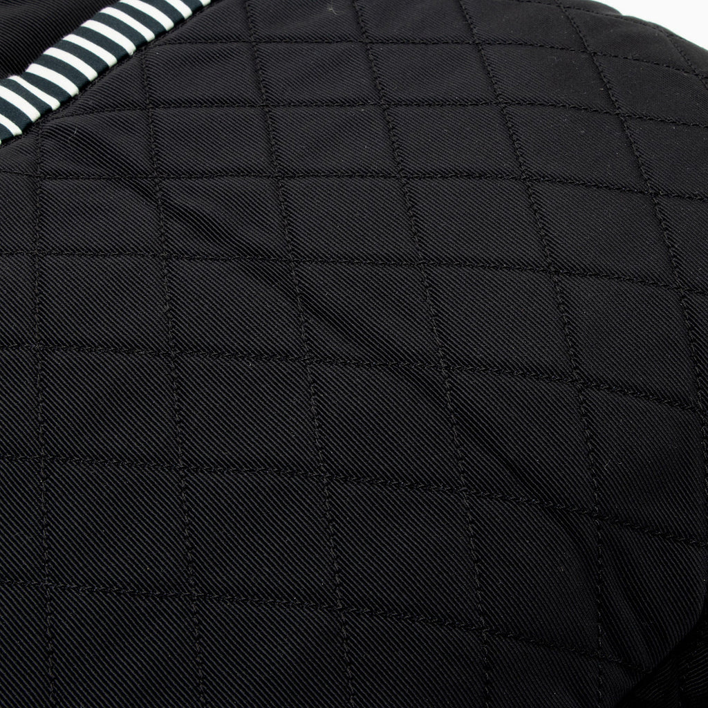 Chanel Striped Canvas Rialto Shoulder Bag (SHF-BaPjh9)