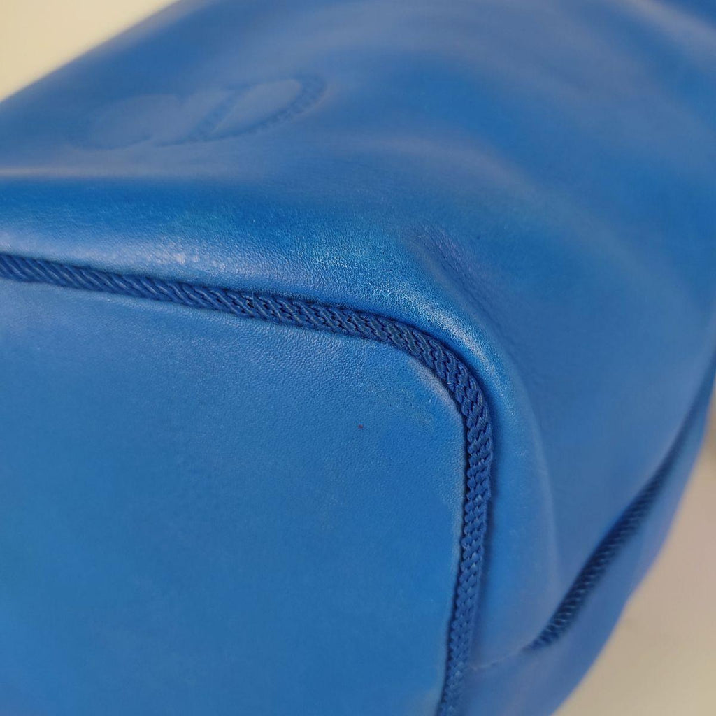 DIOR Christian  bucket bag in light blue leather