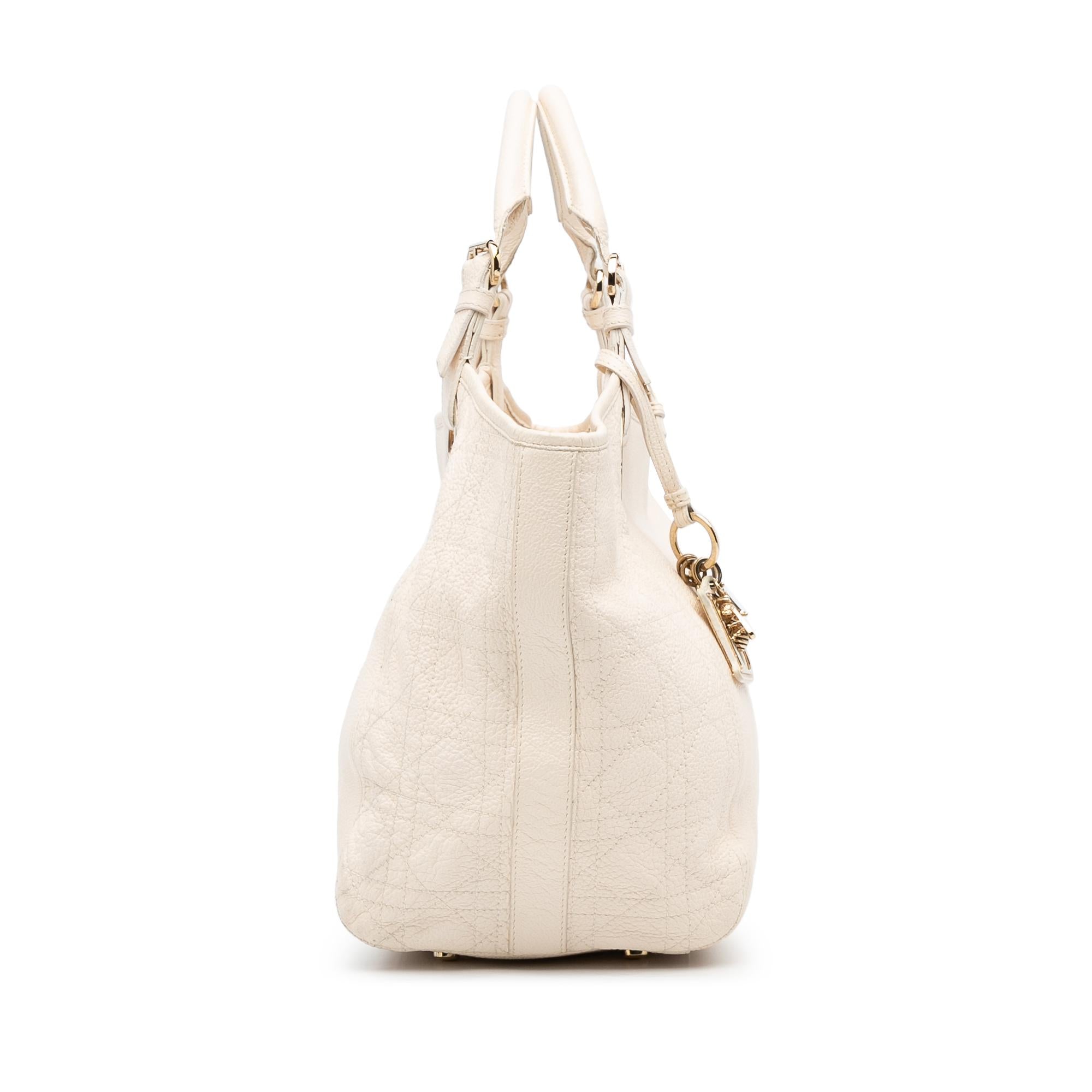 Dior Cannage Bee Tote (SHG-dDvUwD)