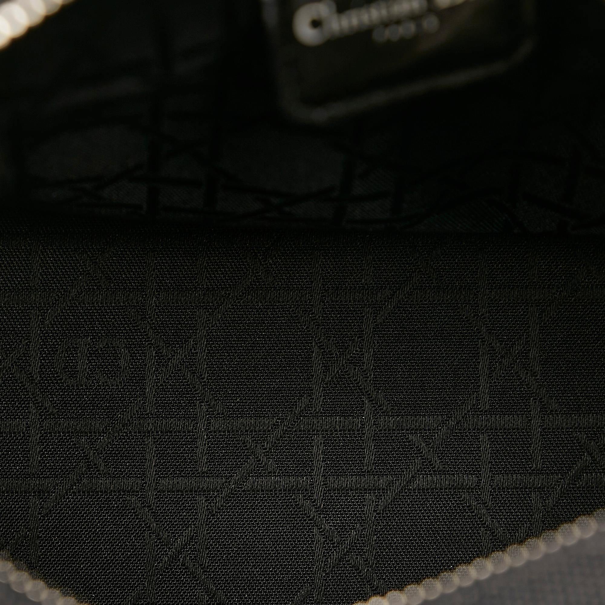 Dior Canvas Lady Dior (SHG-35850)
