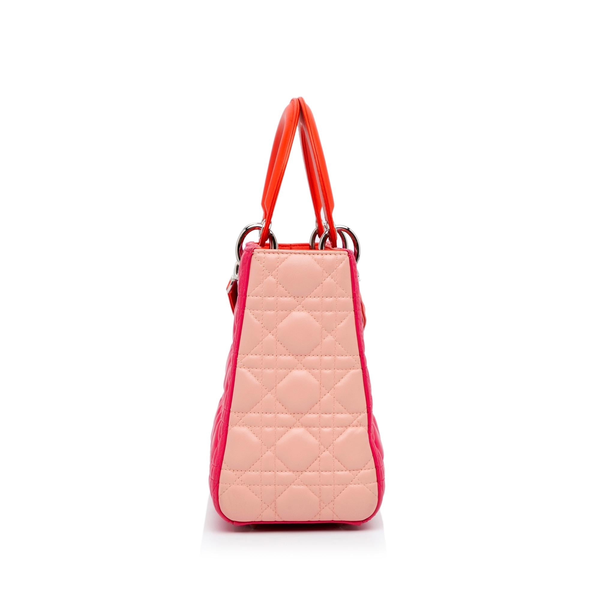 Dior Medium Cannage Lady Dior Tricolor (SHG-qn9TFz)