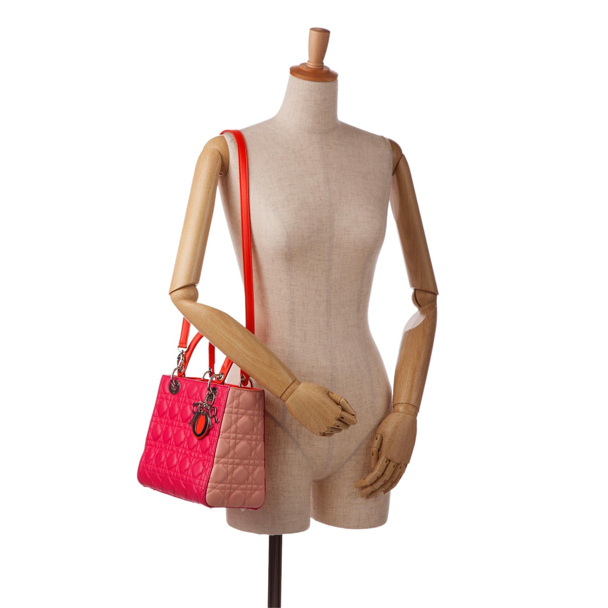 Dior Medium Cannage Lady Dior Tricolor (SHG-qn9TFz)