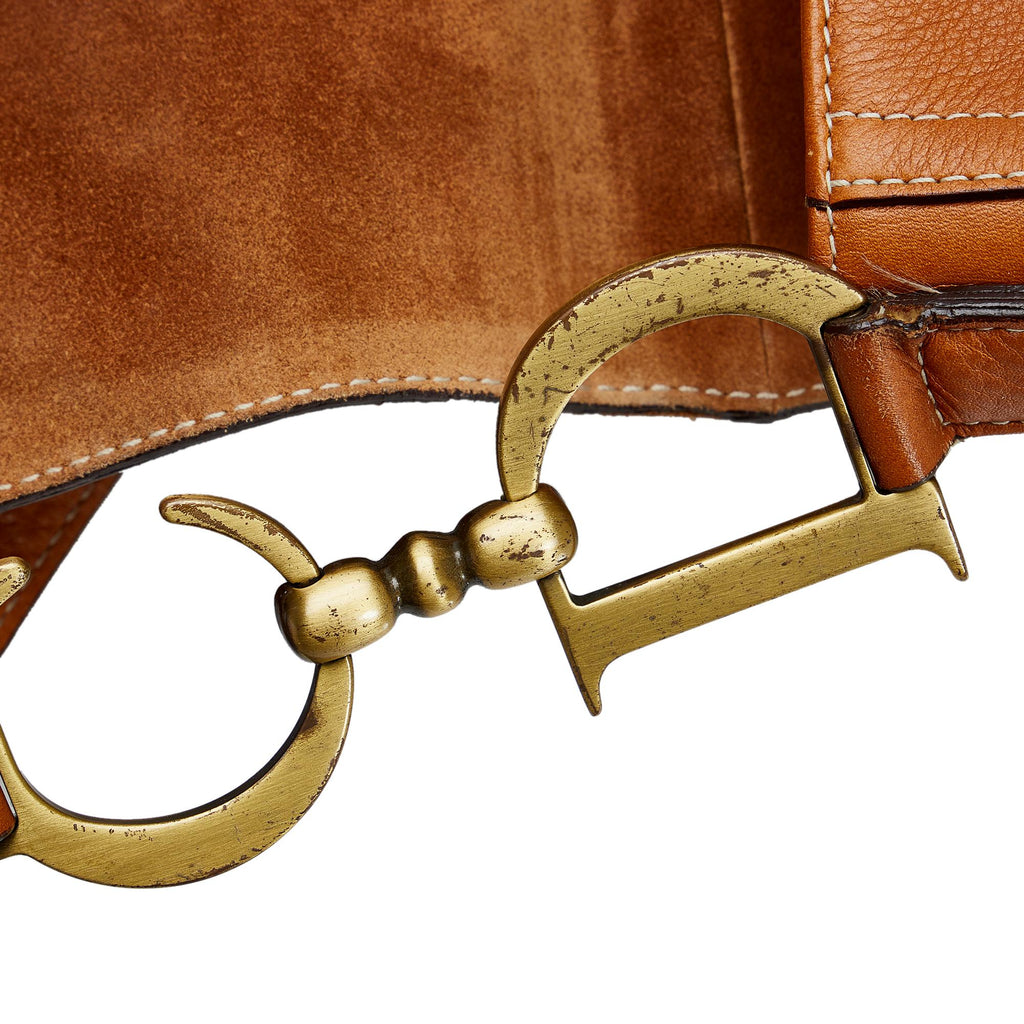 Dior Saddle Crossbody Bag (SHG-r7C1DW)