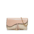 Dior Saddle Wallet On Chain (SHG-VI0q1N)