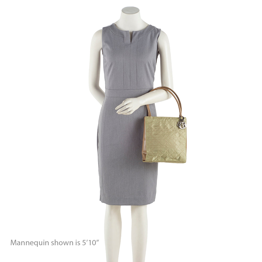 Dior  Satin Mini Tote (SHF-17960)