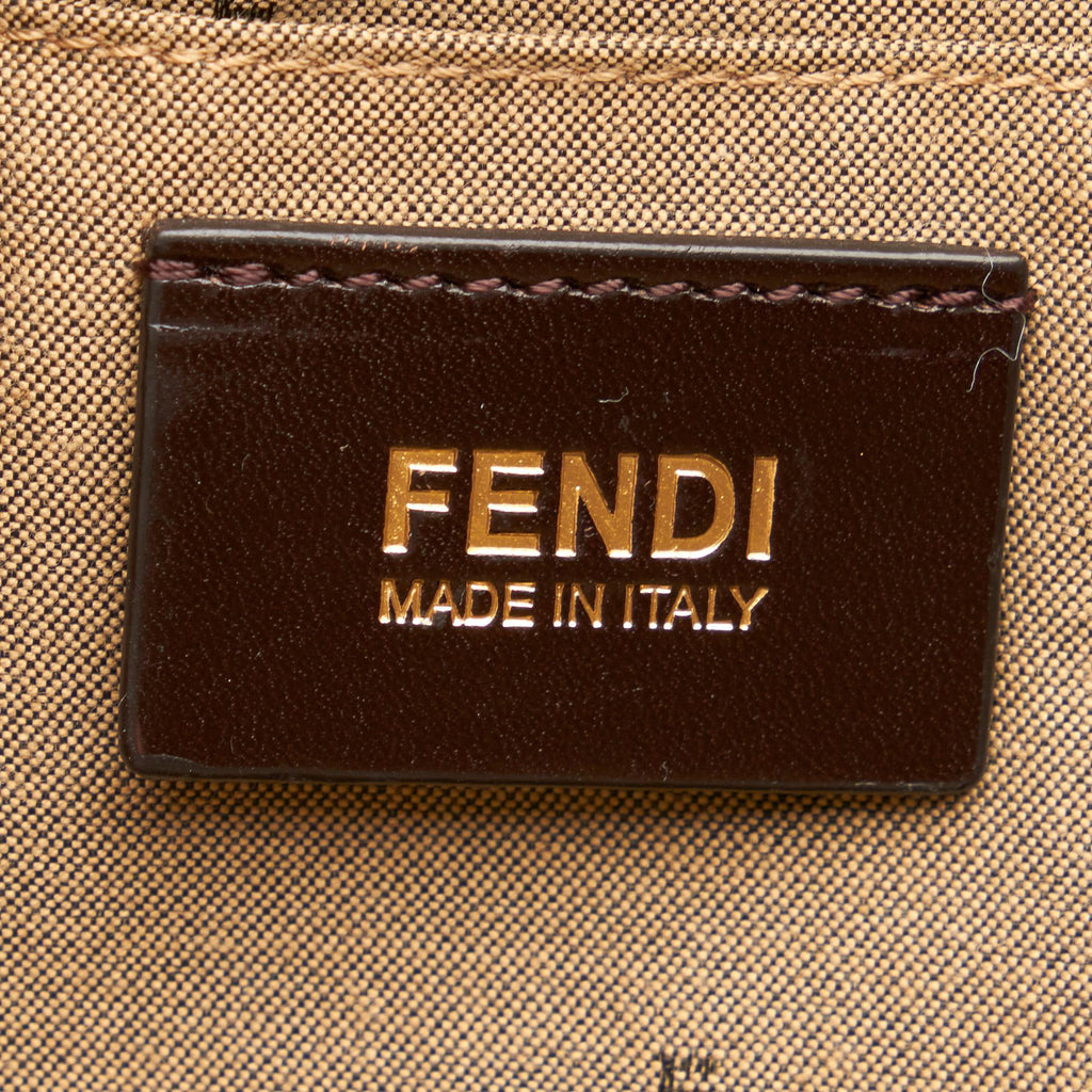 Fendi Chameleon Leather Satchel (SHG-26686)