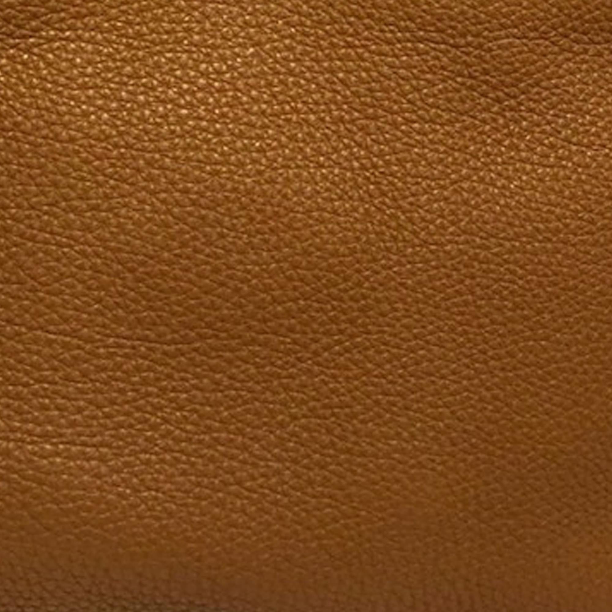 Fendi Selleria Carla (SHG-mFSTvC)