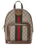 GUCCI OPHIDIA GG SMALL BACKPACK