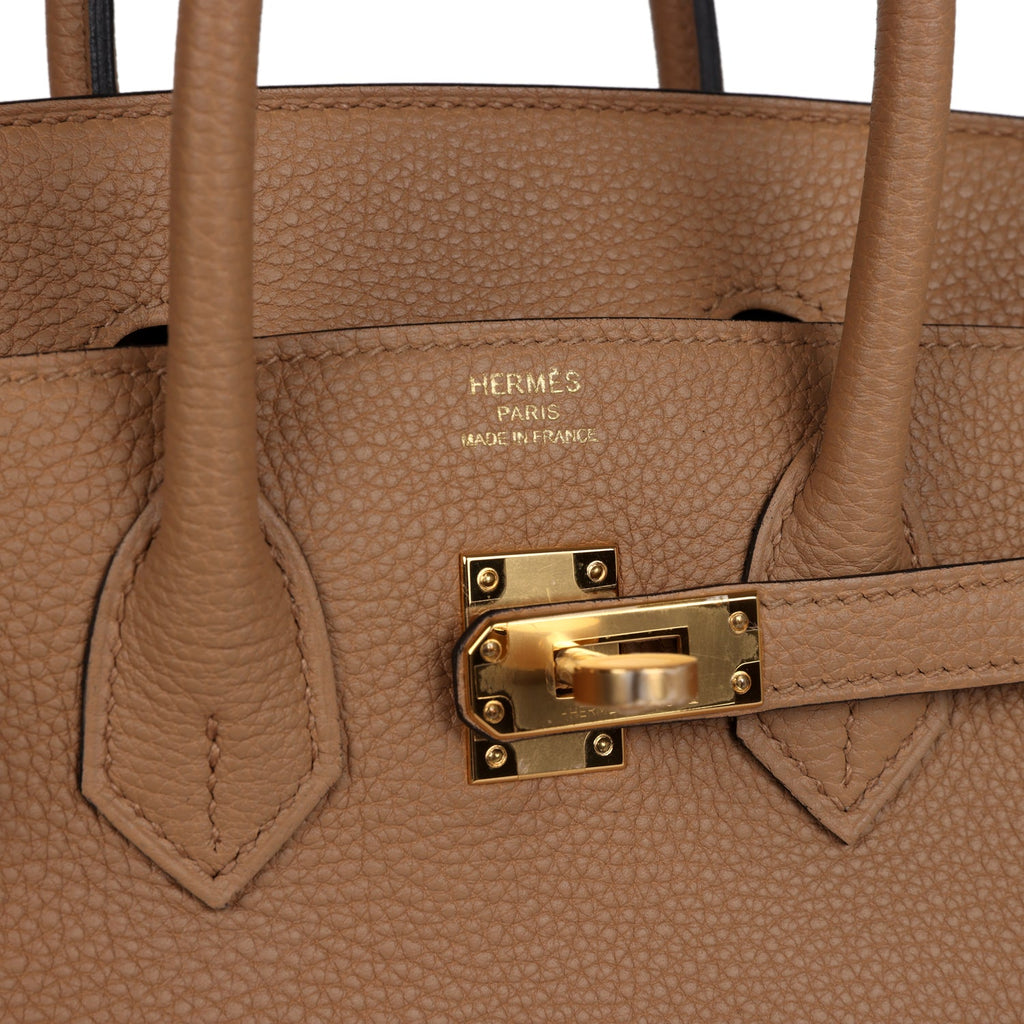 Hermes Birkin 25 Chai Togo Gold Hardware