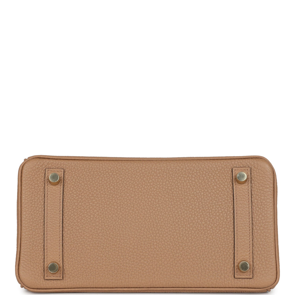Hermes Birkin 25 Chai Togo Gold Hardware
