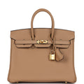 Hermes Birkin 25 Chai Togo Gold Hardware