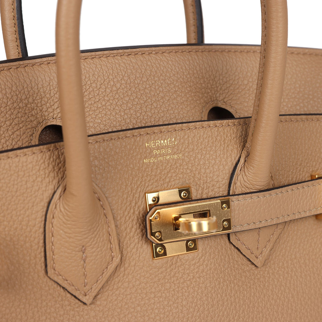 Hermes Birkin 25 Chai Togo Gold Hardware