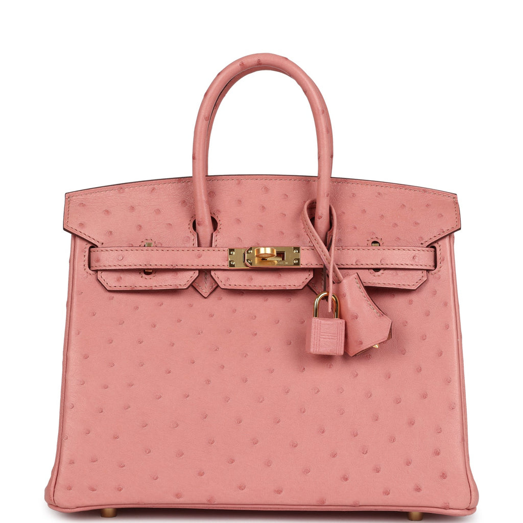 Hermes Birkin 25 Terre Cuite Ostrich Gold Hardware