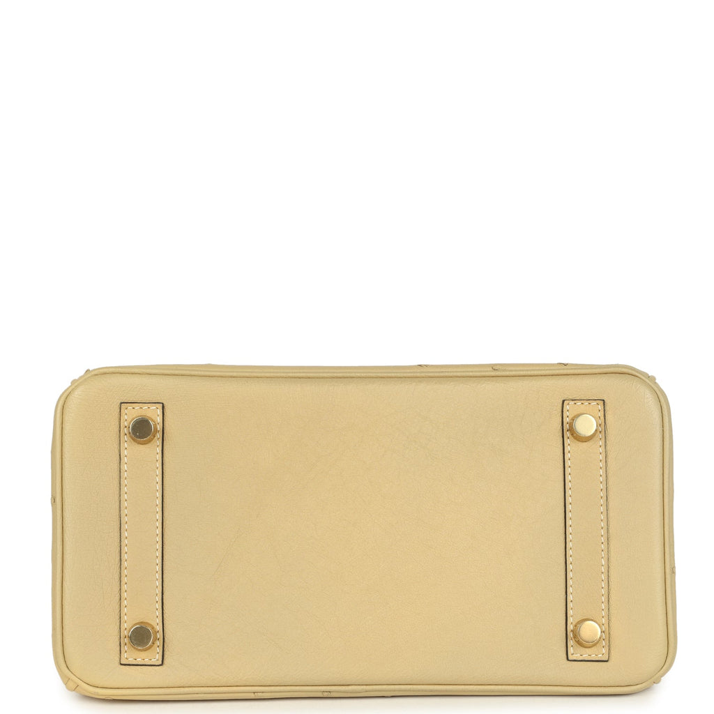 Hermes Birkin 25 Trench Ostrich Gold Hardware