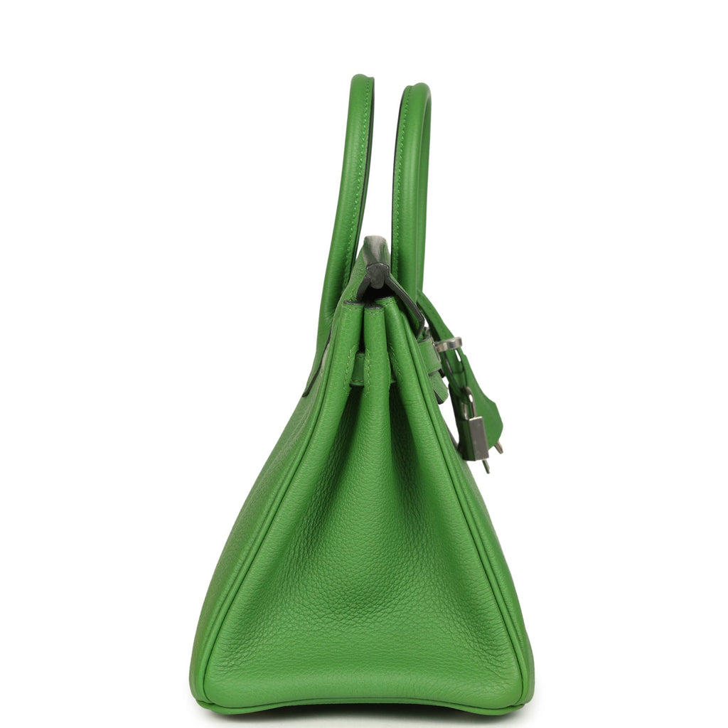 Hermes Birkin 25 Vert Yucca Togo Palladium Hardware