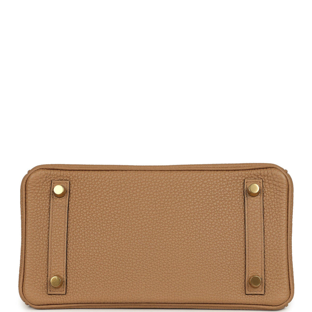 Hermes Birkin 25 Chai Togo Gold Hardware